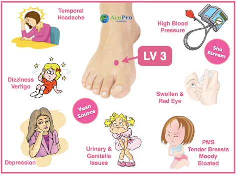 lv 9 acupuncture point|liver blood deficiency acupuncture points.